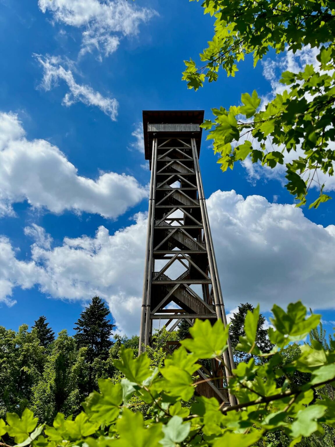 Die 15 schönsten Frankfurt Sehenswürdigkeiten & Geheimtipps