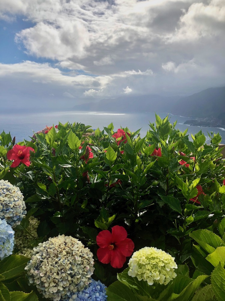 Madeira Sehenswürdigkeiten schönste Orte, Deshalb ist Madeira die Blumeninsel
