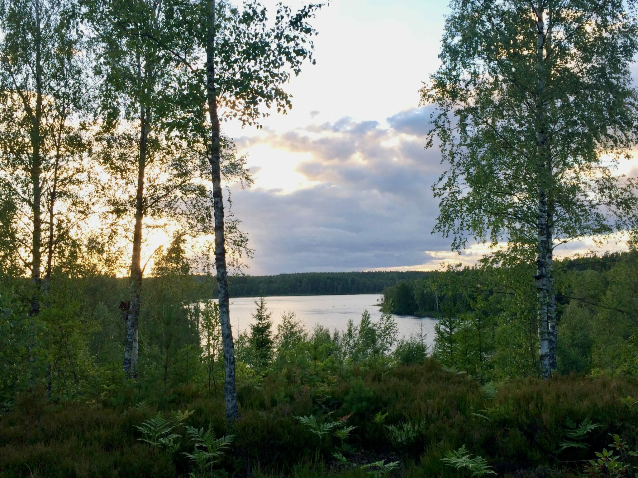 Schweden Mit Kindern Aktivurlaub Und Entspannung