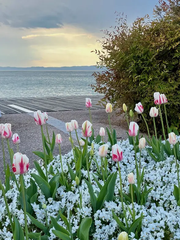 Frühling am Gardasee