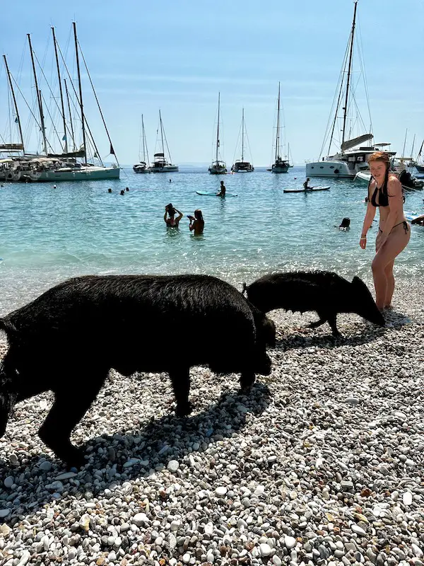 Familien Segeltörn: Hier kannst du mit Schweinen baden