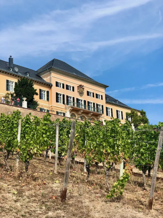 Rheingau_Wandern: Das Schloss Johannisberg lädt zur Einkehr ein