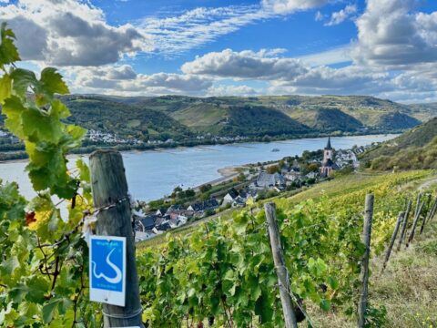 Ankermhle Im Rheingau