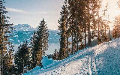 Skifahren, Wandern oder Wellness: 7 Reiseideen für Bayern