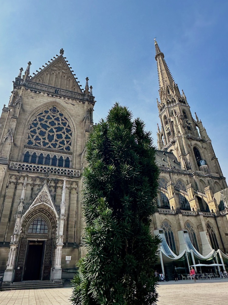 Linz Stadtrundgang: Der Mariä-Empfängnis-Dom oder Mariendom