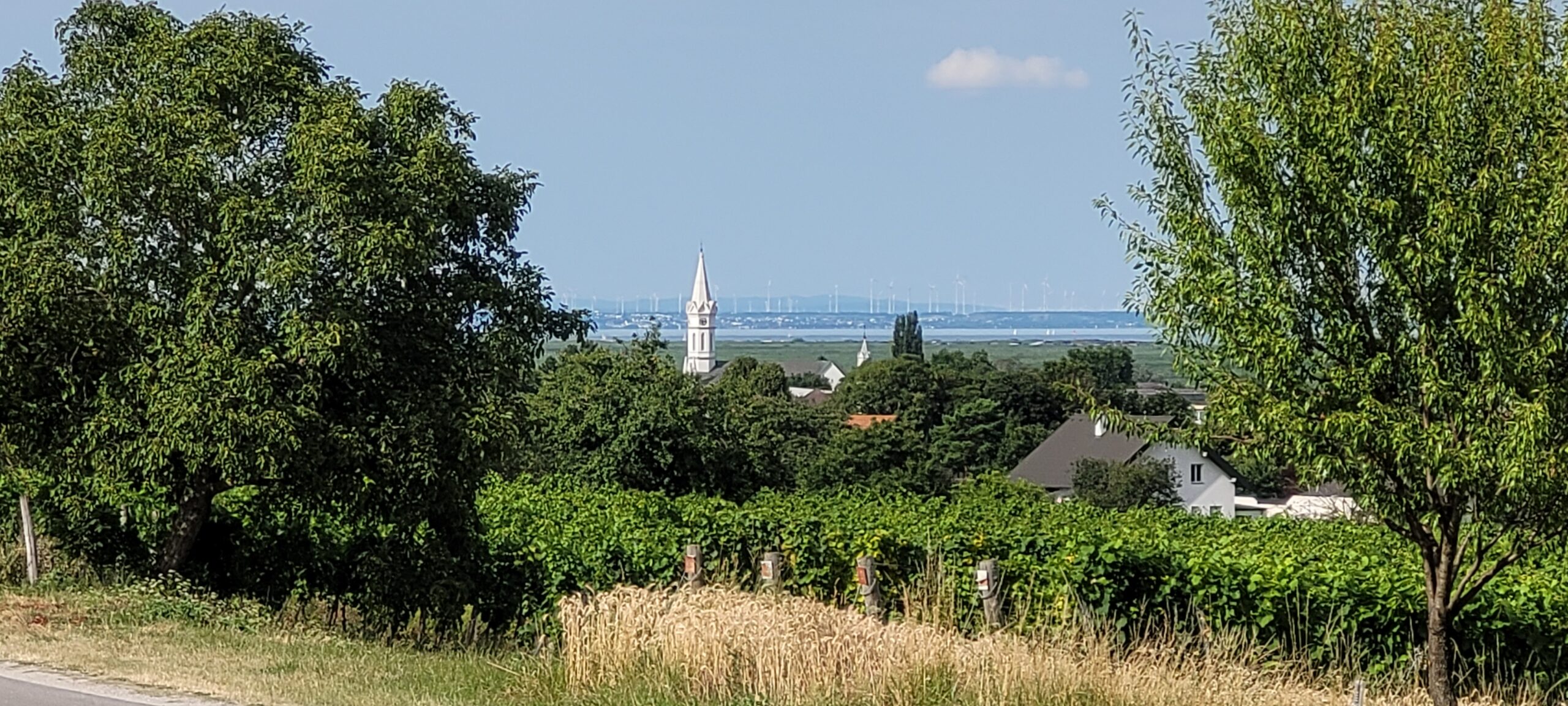 Neusiedler See Tipps: Mörbisch ist der ideale Ausgangspunkt für Ausflüge