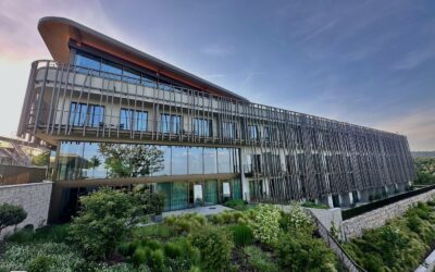 WALD.WEIT Hotel Rheingau: Wo Wald und Weite aufeinandertreffen