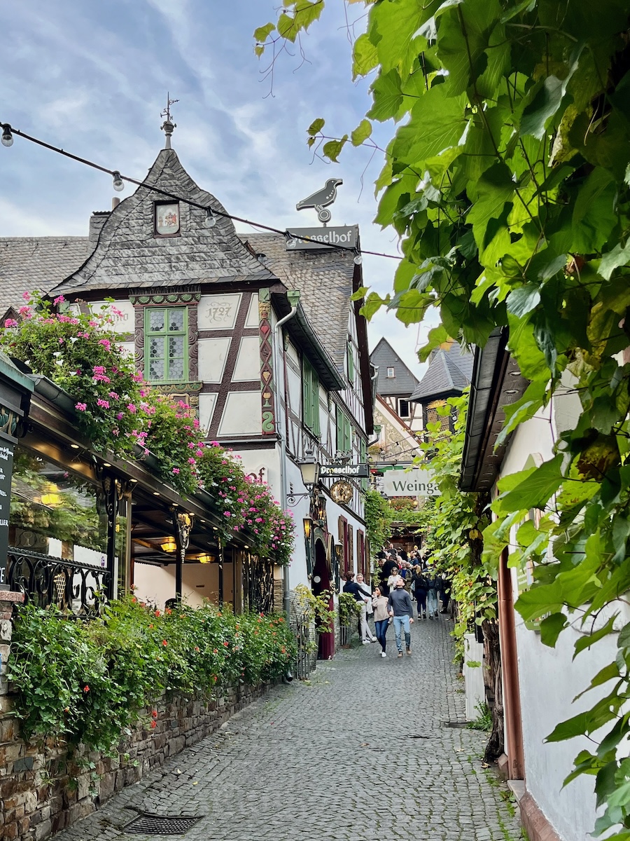 Wald.Weit Hotel im Rheingau: Ausflug in die Drosselgasse nach Rüdesheim