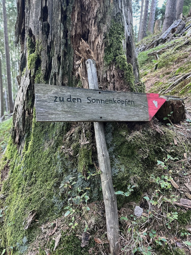 Auf geht`s auf den Sonnenkopf