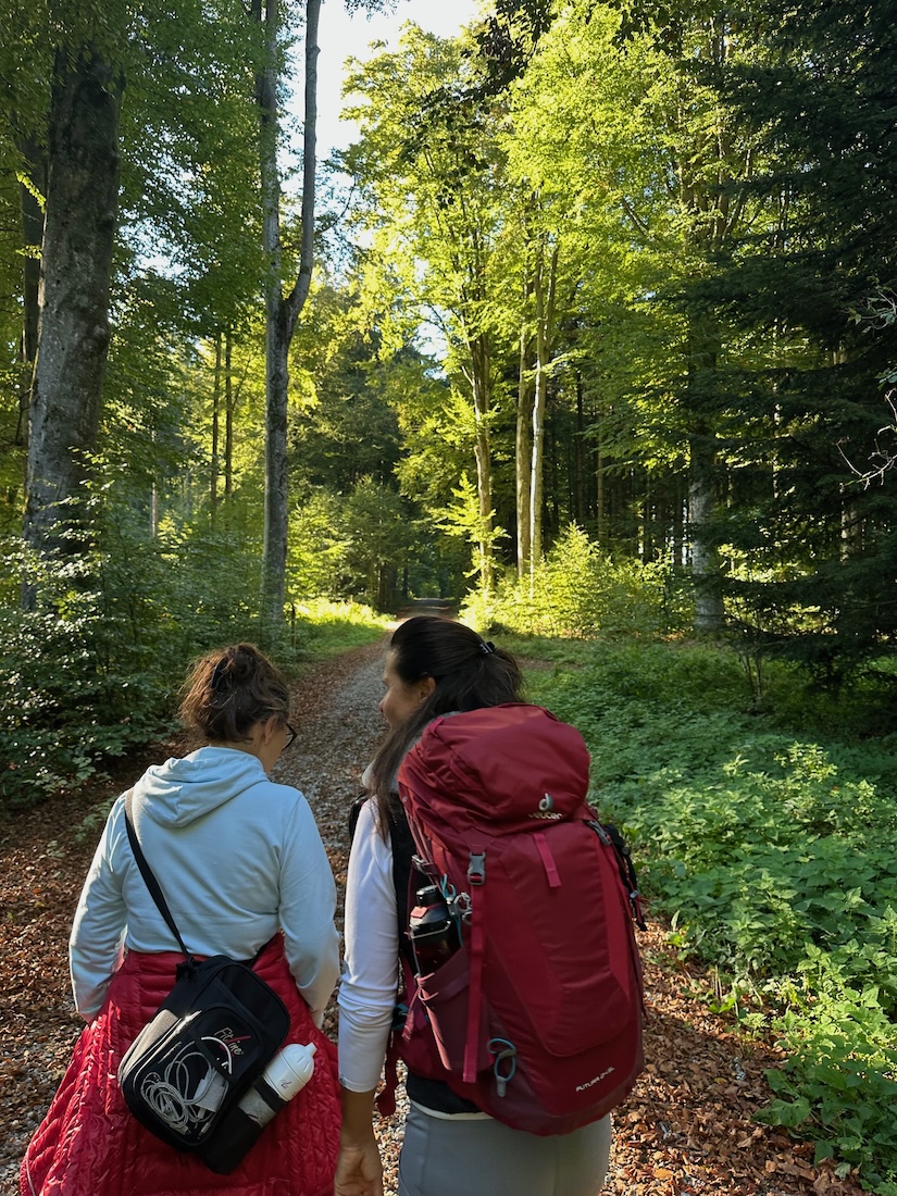 Der Glückszauberpfad verbindet Mystik und Natur